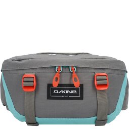 Dakine Hot Laps 1 Fanny pack 17 cm  variant 4