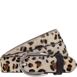 Vanzetti Riem Leer  variant 1