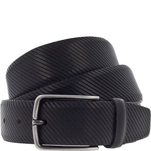 Vanzetti Riem leer