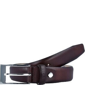 Picard Riem leer