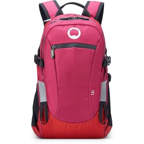 Delsey Paris Nomade S rugzak 42 cm laptopvak