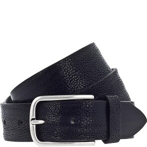 Vanzetti Riem leer