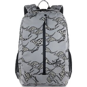 Chiemsee Jump N Fly Dagrugzak 46 cm Laptop compartiment