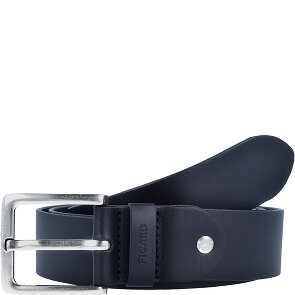 Picard Riem leer