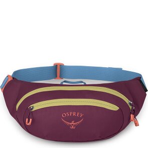 Osprey Daylite Taille Riem Tas 45 cm