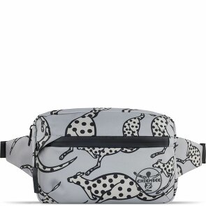 Chiemsee Jump N Fly Fanny pack 22 cm