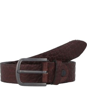 Vanzetti Riem leer