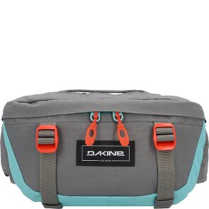 Dakine Hot Laps 1 Fanny pack 17 cm