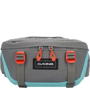 Dakine Hot Laps 1 Fanny pack 17 cm