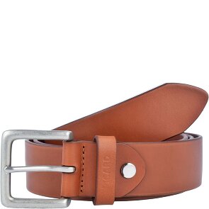 Picard Riem leer