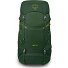 Ace 38 Trekking rugzak 64 cm variant green canopy-matcha green Ace 38 Trekking rugzak 64 cm variant green canopy-matcha green