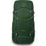  Ace 38 Trekking rugzak 64 cm variant green canopy-matcha green