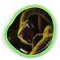  Wiggle klittenband variant schlange