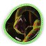 Wiggle klittenband variant schlange Wiggle klittenband variant schlange