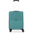  Travel Line 4000 4-wiel cabinewagen 55 cm variant grün