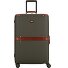 Story Viaggio Trunks 4 wielen Trolley 70 cm variant foresta