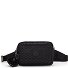  Basic Plus Abanu Multi Fanny pack 19 cm variant signature emb