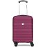  Paradise 4 wielen Cabinewagen S 55 cm variant berry