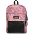  Pinnacle Dagrugzak 42 cm variant brize retrosoft