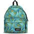 Padded Pak'r Padded Pak'r Dagrugzak 40 cm variant brize palm aqua Padded Pak'r Padded Pak'r Dagrugzak 40 cm variant brize palm aqua