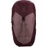  AC Lite 22 SL Wandelrugzak 30 cm variant ashrose-cassis