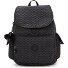  Basic Plus City Pack Dagrugzak 37 cm variant signature emb