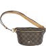  Euphoria Fanny pack 22 cm variant cafe