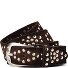  Studded belt Leder variant dark brown | 100 cm