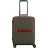  Story Viaggio Trunks 4 wielen Cabinewagen 55 cm variant foresta