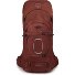  Aether 65 Trekking rugzak L-XL 80 cm variant acorn red