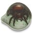 LED klittenband variant spinne LED klittenband variant spinne