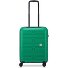  Supernova 2.0 4 wielen Cabinewagen 55 cm variant grass green