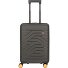  BY Ulisse 4-wielige cabinewagen 55 cm variant olivgruen