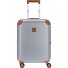  Amalfi 4-wielige cabinewagen 55 cm variant silver