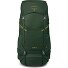  Ace 50 Trekking rugzak 67 cm variant green canopy-matcha green