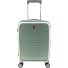  3500 4 wielen Cabinewagen 55 cm met uitbreidingsplooi variant jade green