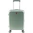  3500 4 wielen Cabinewagen 55 cm met uitbreidingsplooi variant jade green