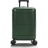  Zen 4 wielen Cabinewagen S 54 cm met uitbreidingsplooi variant green