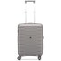  Skyline 2.0 Neon 4 wielen Cabinewagen 55 cm variant grau