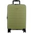  Striper 4 wielen Cabinewagen 55 cm met uitbreidingsplooi variant light green
