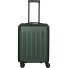  Dynamiic 4 wielen Cabinewagen 55 cm variant grün