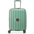  Carrousel 2 4 wielen Cabinewagen 55 cm met uitbreidingsplooi variant sage green