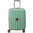  Carrousel 2 4 wielen Cabinewagen 55 cm met uitbreidingsplooi variant sage green