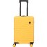  BY Ulisse 4-wielige cabinewagen 55 cm variant mango