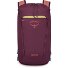  Daylite 0 Dagrugzak 41 cm variant moody burgundy