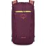  Daylite 0 Dagrugzak 41 cm variant moody burgundy