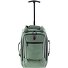  3900 2 wielen Rugzak trolley 40 cm Laptop compartiment variant green
