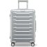  Phoenix 4 wielen Cabinewagen S 55 cm variant silver