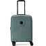  Radar 4 wielen Cabinewagen 55 cm variant verde
