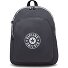  Curtis Dagrugzak L 43 cm Laptopvak variant moonlit grey c